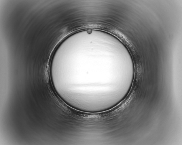 X0000093531178200711021305