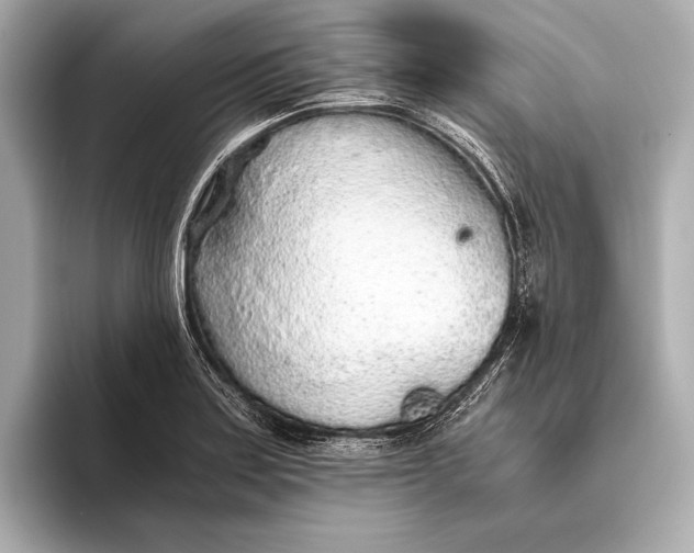 X0000093531179200711021305