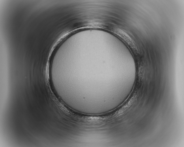 X0000093531180200711021305