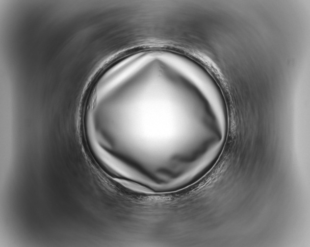 X0000093531183200711021305