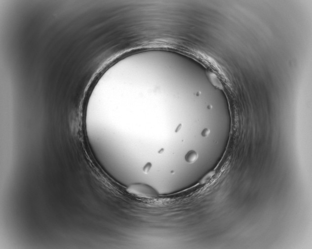 X0000093531184200711021305