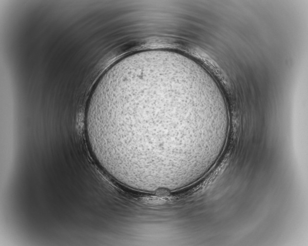 X0000093531185200711021305