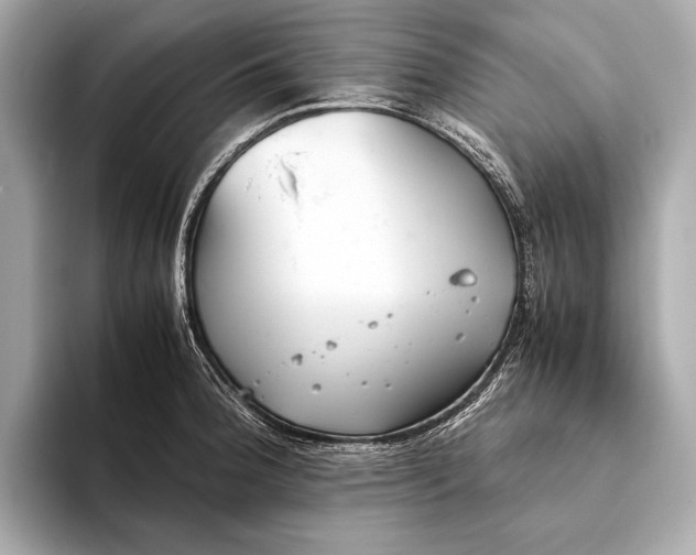 X0000093531188200711021305