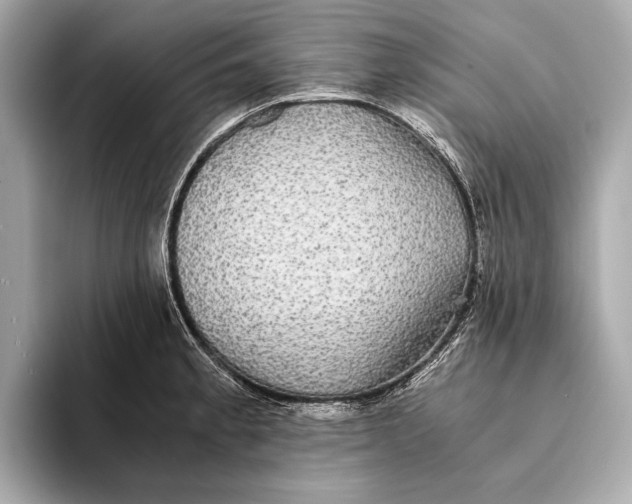 X0000093531189200711021305