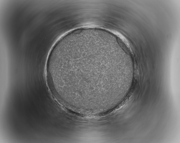 X0000093531191200711021305