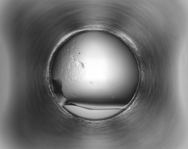 X0000093531192200711021305