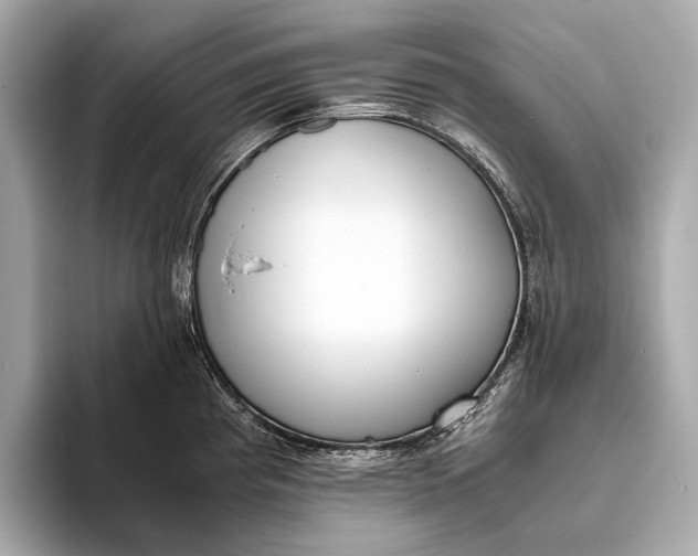 X0000093531193200711021305