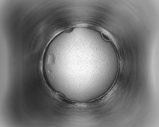 X0000093531194200711021305