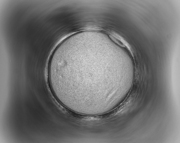 X0000093531195200711021305