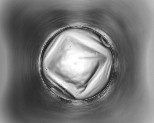 X0000093531199200711021305