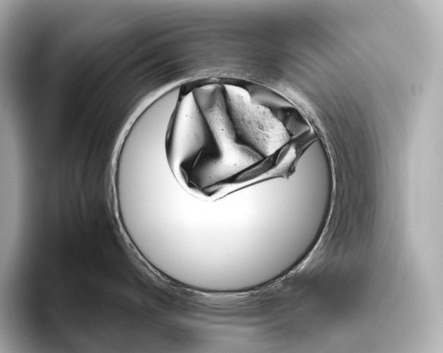 X0000093531200200711021305