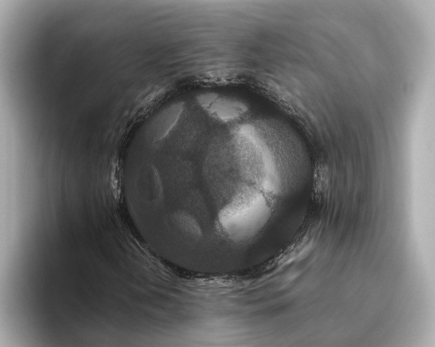 X0000093531202200711021304