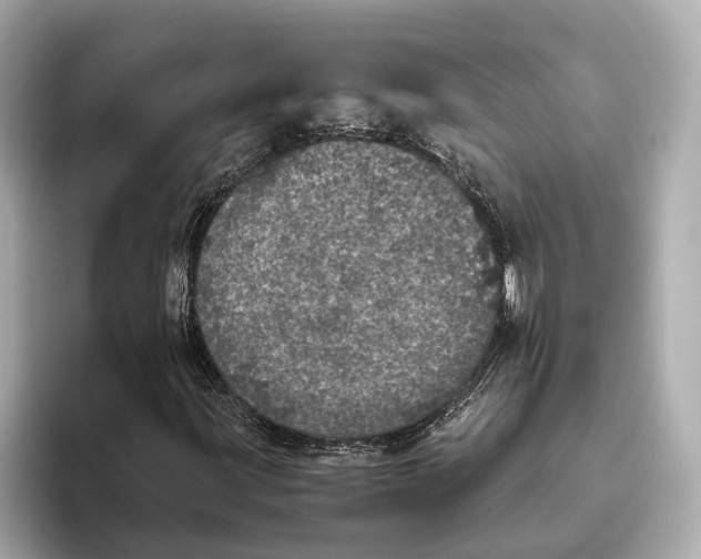 X0000093531203200711021304