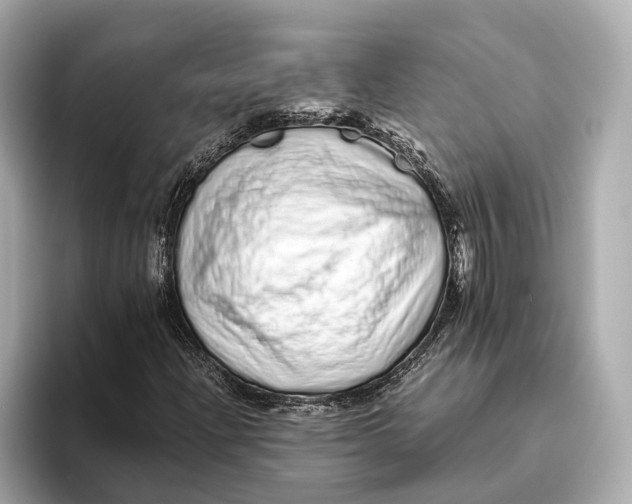 X0000093531204200711021304