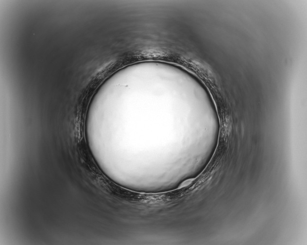 X0000093531205200711021304