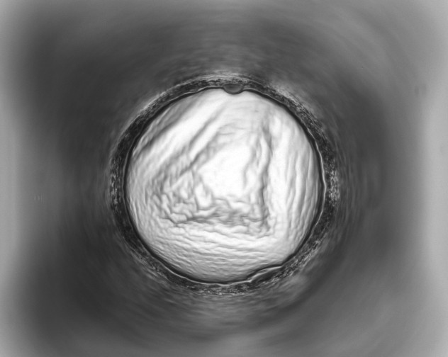 X0000093531208200711021304