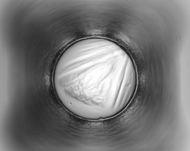 X0000093531209200711021304