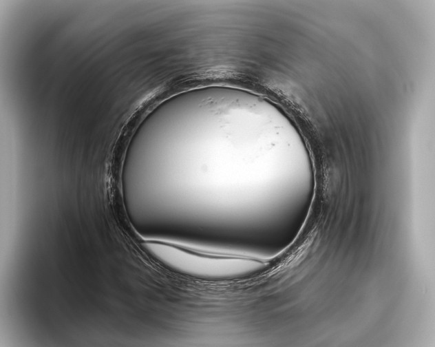 X0000093531210200711021304