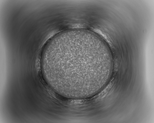 X0000093531211200711021304