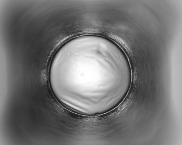 X0000093531212200711021304