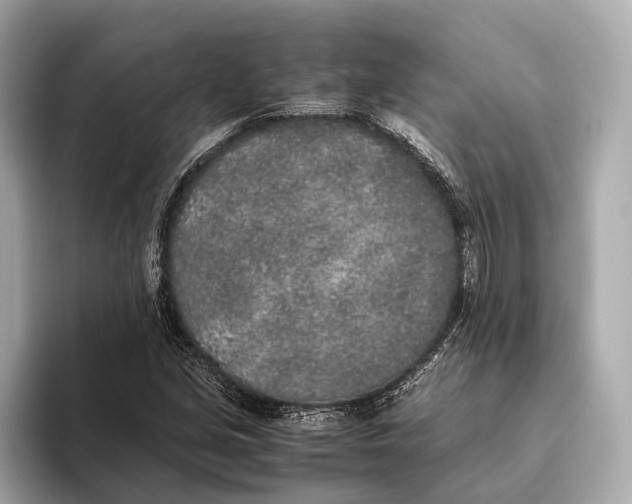 X0000093531213200711021304