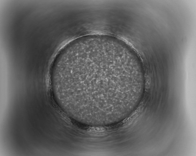 X0000093531215200711021304