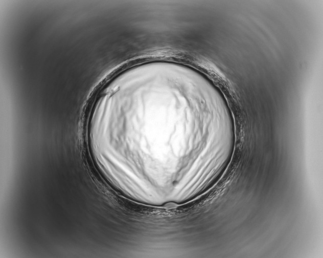 X0000093531216200711021304