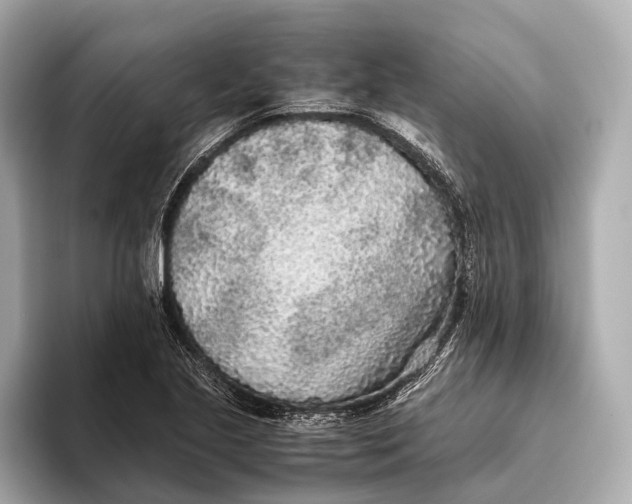 X0000093531221200711021304