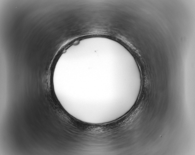 X0000093531222200711021304