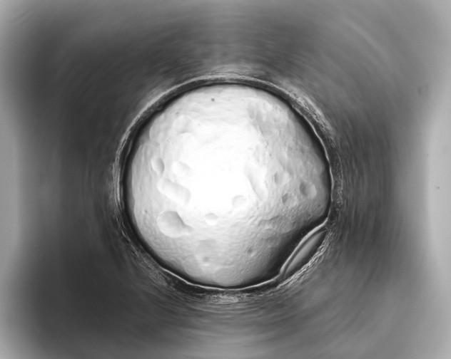 X0000093531224200711021304