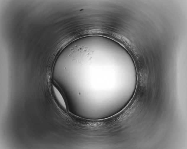 X0000093531225200711021304