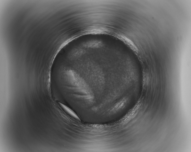 X0000093531226200711021304