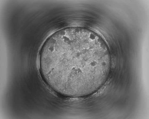 X0000093531227200711021304