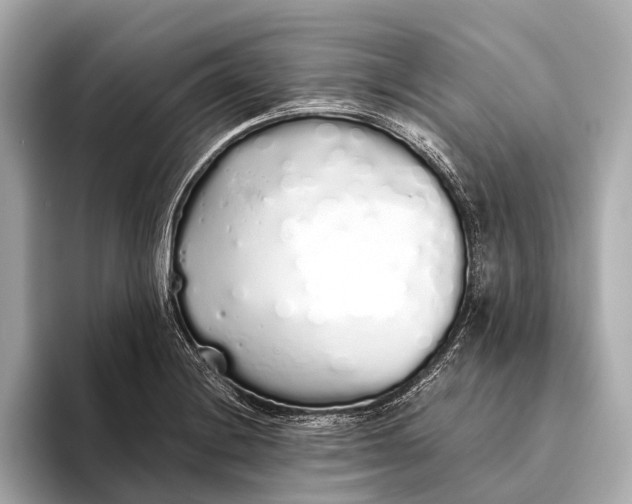 X0000093531228200711021304