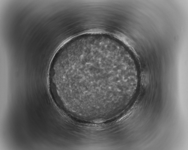 X0000093531229200711021304