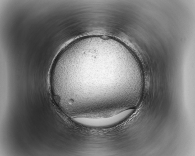 X0000093531230200711021305