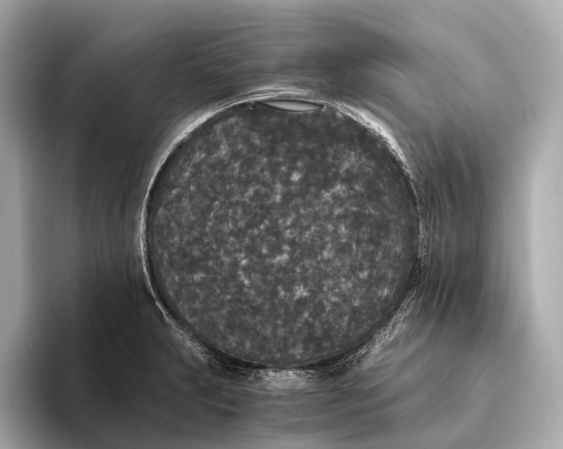 X0000093531231200711021305