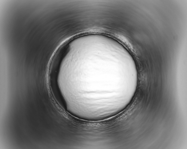 X0000093531232200711021305