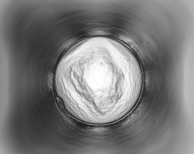 X0000093531233200711021305