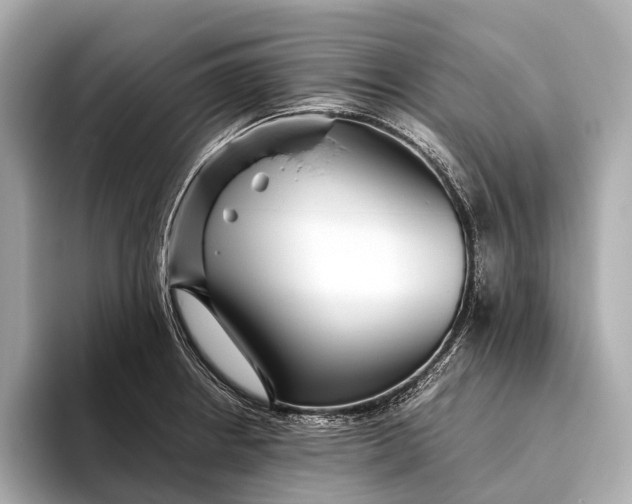 X0000093531234200711021305