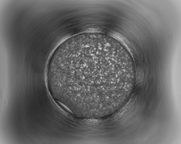 X0000093531235200711021305