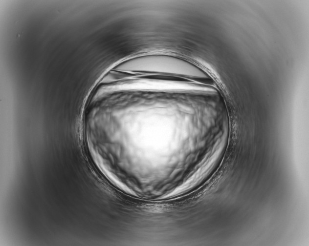 X0000093531236200711021305