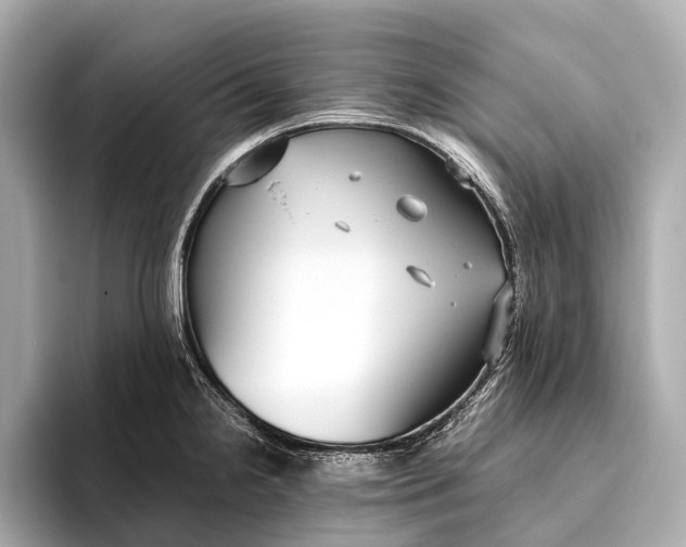 X0000093531238200711021305