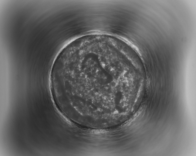 X0000093531239200711021305