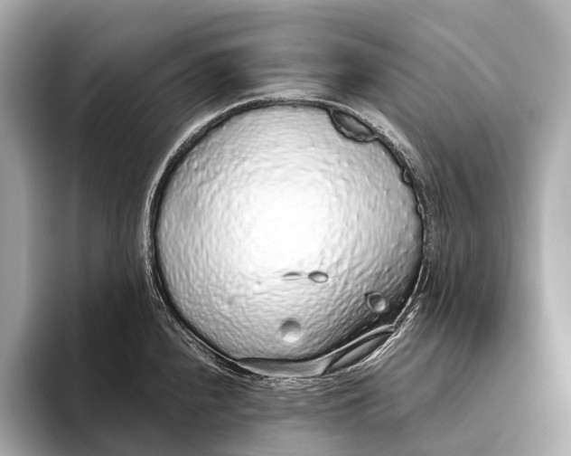 X0000093531240200711021305