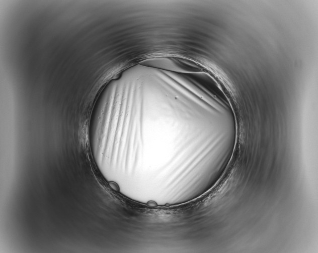 X0000093531241200711021305