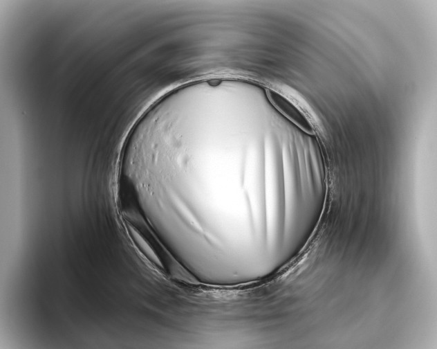 X0000093531244200711021305