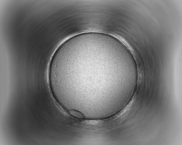 X0000093531246200711021305