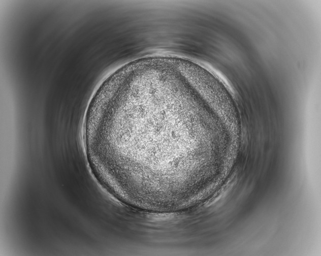 X0000093531247200711021305