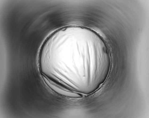 X0000093531248200711021305